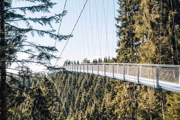 Eine Hängebrücke führt in luftiger Höhe über die Baumkronen des Schwarzwaldes.