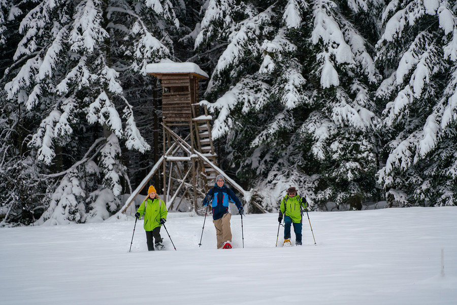 Drei Personen haben alle Stöcke in der Hand und machen in viel Schnee eine Schneeschuhwanderung. Im Hintergrund ist ein verschneiter Jägerhochsitz und viele Bäume.
