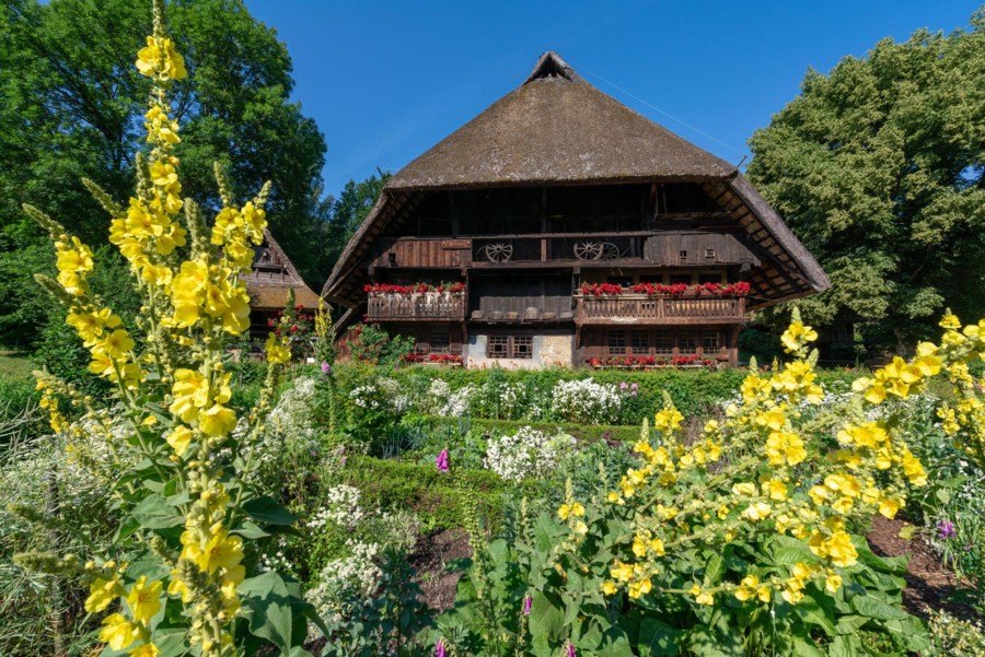 Das Schwarzwälder Freilichtmuseum Vogtsbauernhof zeigt, wie die Menschen im Schwarzwald gelebt, gewohnt und gearbeitet haben.
