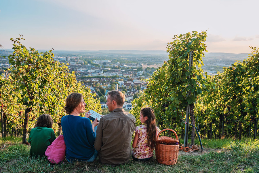Eine Familie mit drei Kindern sitzt oberhalb eines Weinbergs im Gras. Sie blicken die Weinberge hinab auf die Dächer der Heilbronner Innenstadt.