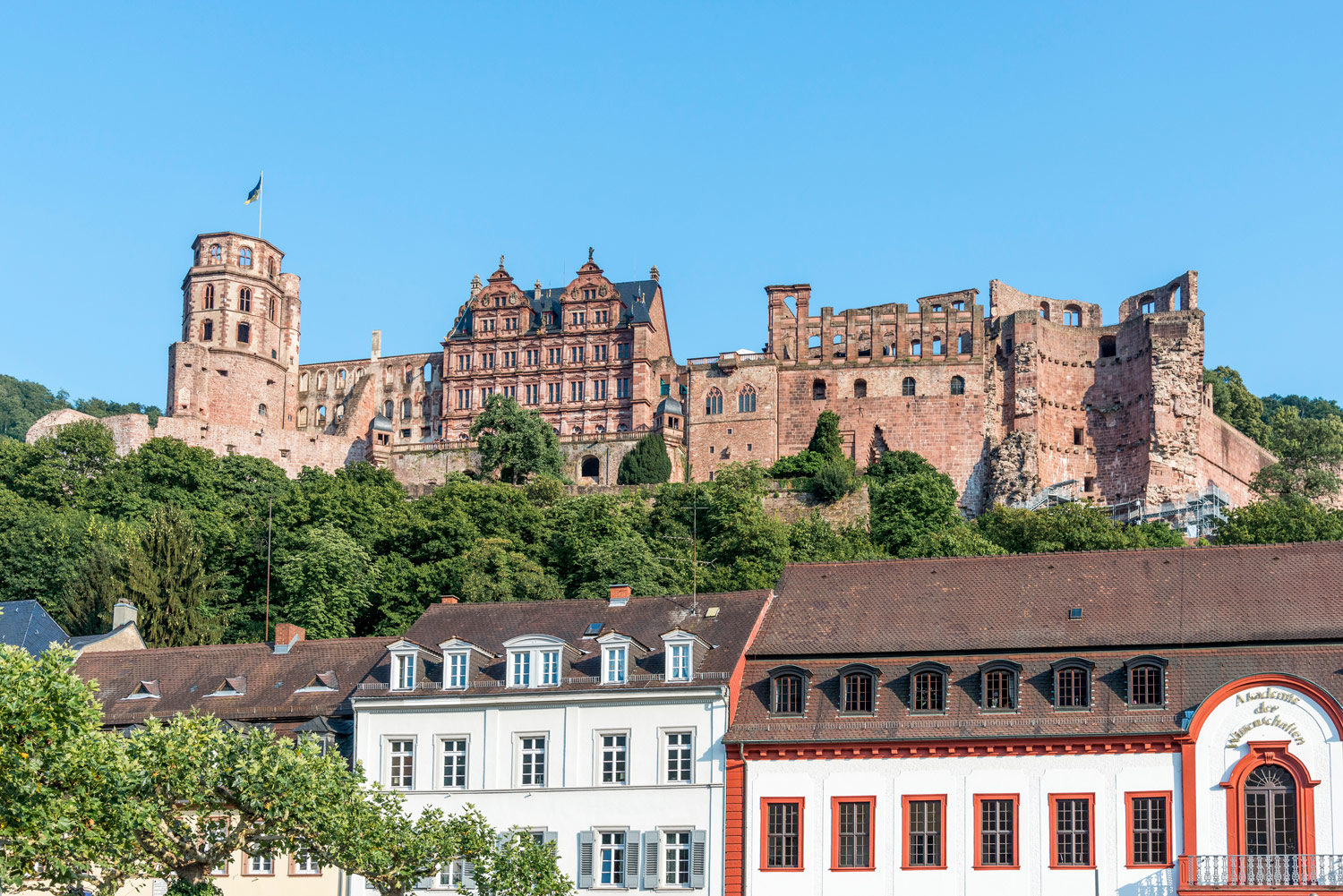 Ausblick auf das Heidelberger Schloss welches oberhalb auf einem Berg liegt. Unterhalb des Schlosses stehen normale Wohnhäuser.