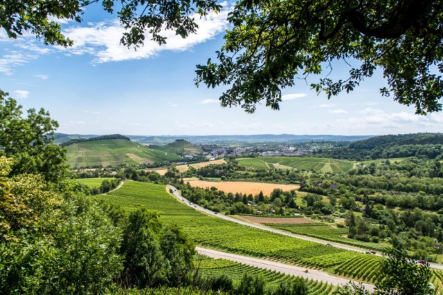 Weinberge im Heilbronner Land