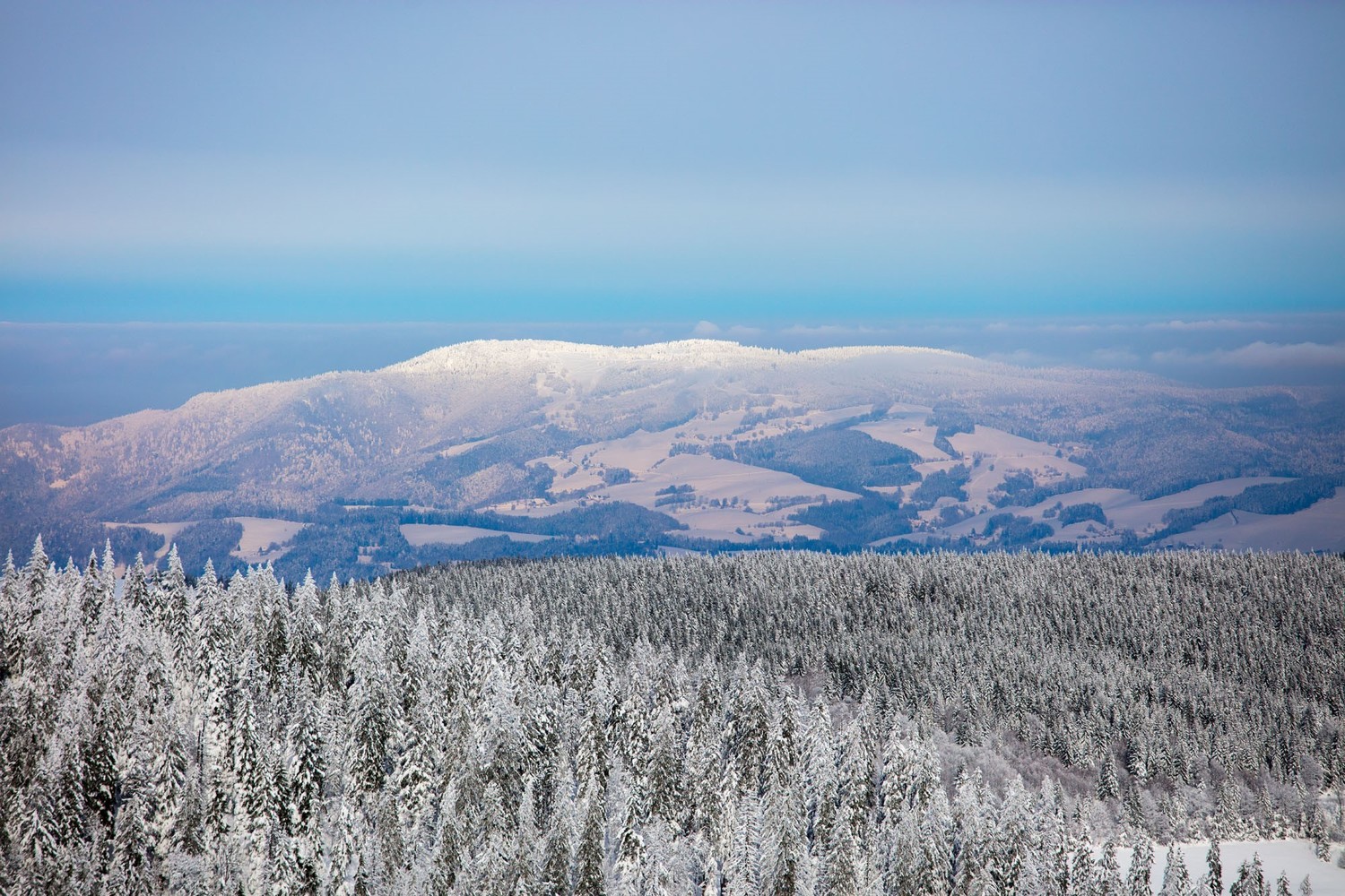 Im Winter verwandelt sich der Schwarzwald in ein märchenhaftes Winterwonderland. |© TMBW