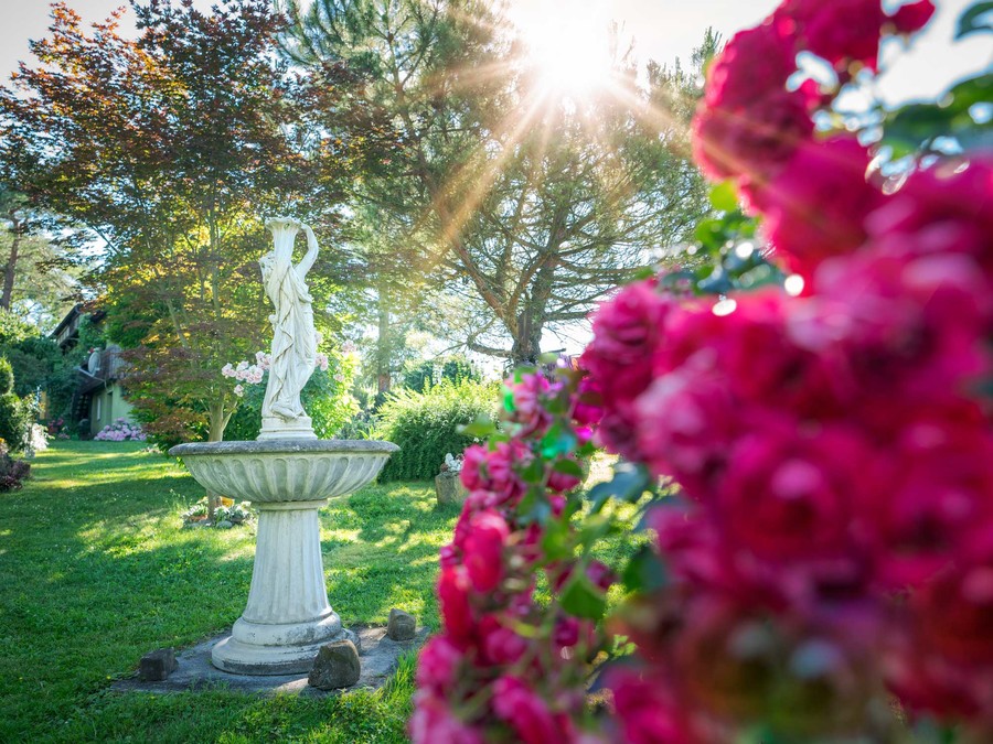 Im Privatgarten von Karin Böhler auf der Insel Reichenau blühen über 150 Rosenstöcke.