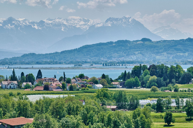 Blick über den Bodensee in die Alpen |  © Deutsche Bodensee Tourismus GmbH