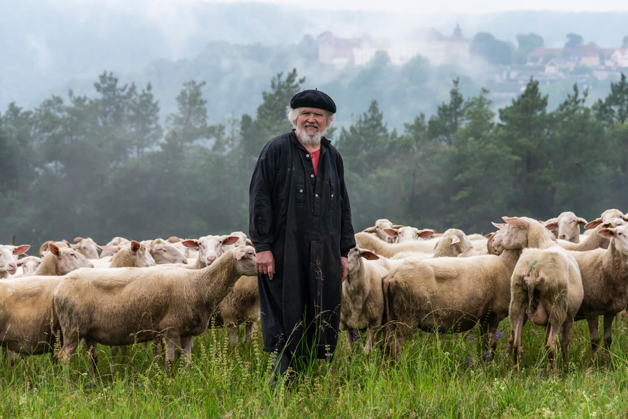 Ein Mann steht auf einer Wiese vor einer Schafsherde.