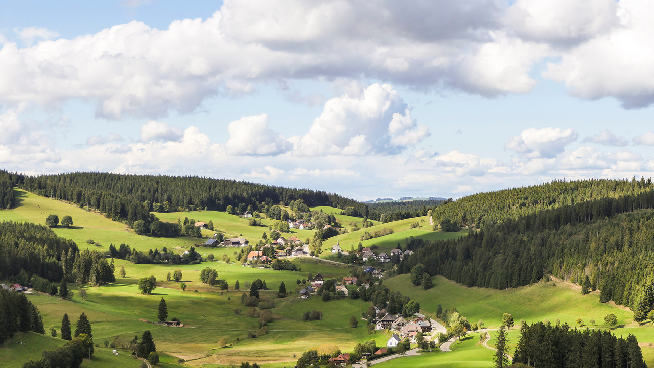 Landschaftsaufnahme des Schwarzwaldes. Grüne Wiesen und Wälder und zwischendrin kleine Ortschaften.