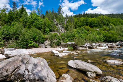 Ausblick ins Murgtal mit einem Fluss in dem große Steine liegen. Im Hintergrund ist ein Wald.