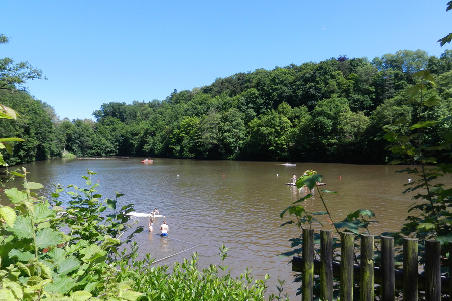Blick auf einen Natursee in dem Menschen baden. Das Ufer ist teils bewaldet.