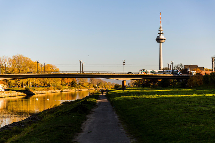 Neckar und Fernmeldeturm in Mannheim. Über dem Neckar verläuft eine große Brücke über die Autos fahren.